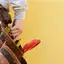 Handyman repair service in New Haven, CT for home fixes and improvements