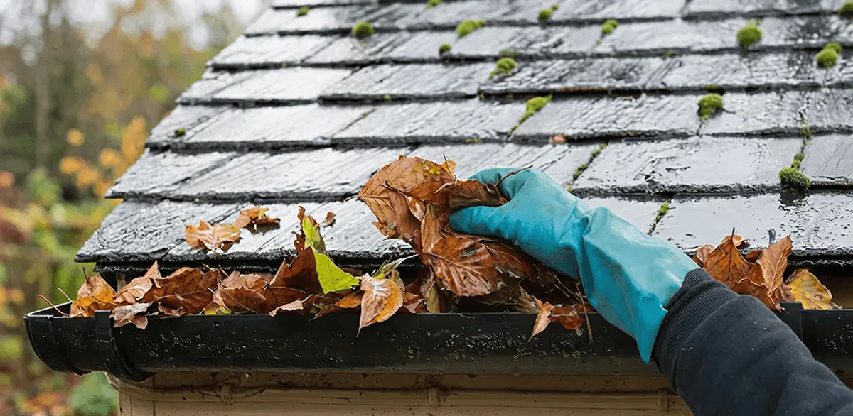 Gutter cleaning technician clearing wet leaves from roof gutters in New Haven, CT